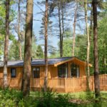 Timber lodge amongst trees in a forest on a sunny day