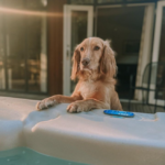 a dog by the side of a hot tub outside a Pinelog timber lodge